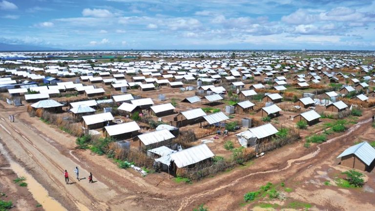 Climate Action & Urban Agriculture