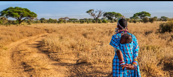 From Seed to Sustenance: Urban Farming in Kakuma